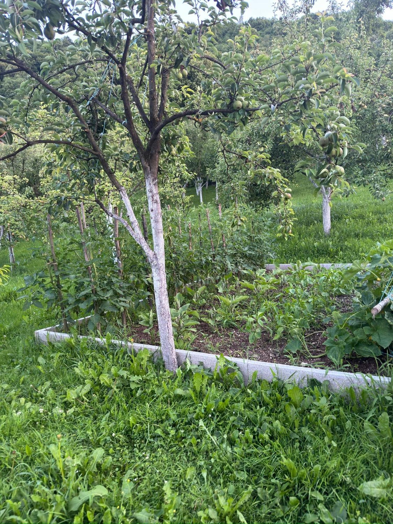 Resting House Oaza Villa Bihać Eksteriør bilde
